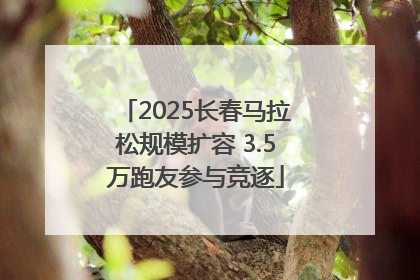 2025长春马拉松规模扩容 3.5万跑友参与竞逐